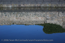 galstock_043